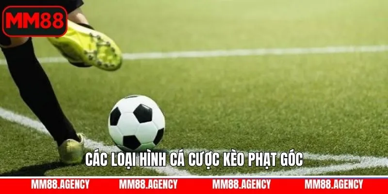 Khám phá các cách đặt cược kèo phạt góc phổ biến nhất MM88