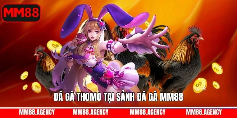 Thử sức ngay với hình thức Thomo tại đá gà MM88